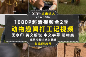 动物趣闻纪录片动物打工记全2季中视频自媒体解说高清视频素材