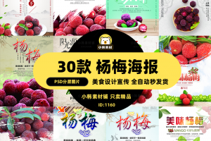 餐饮美食PSD海报背景模板杨梅新鲜水果促销宣传单广告设计素材