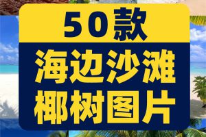 海边沙滩椰树夏天夏日海滩风景海水抖音绿幕直播led背景图片素材