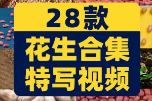 花生合集特写花生米有机带壳粒抖音短视频自媒体高清实拍素材剪辑