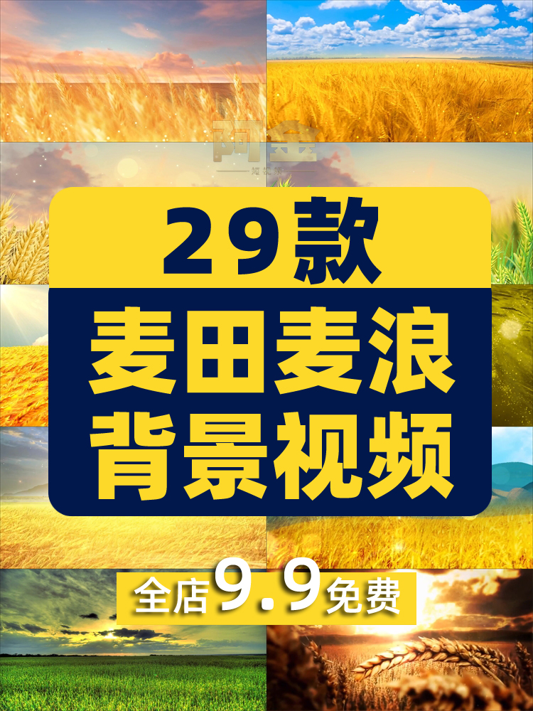 金色麦田麦穗麦浪秋天丰收屏幕舞台动感LED高清视频场景背景素材插图