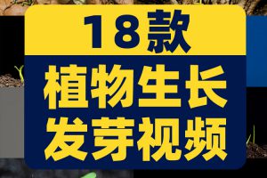 绿色植物生长破土而出种子发芽幼苗快速长大延时抖音短视频素材