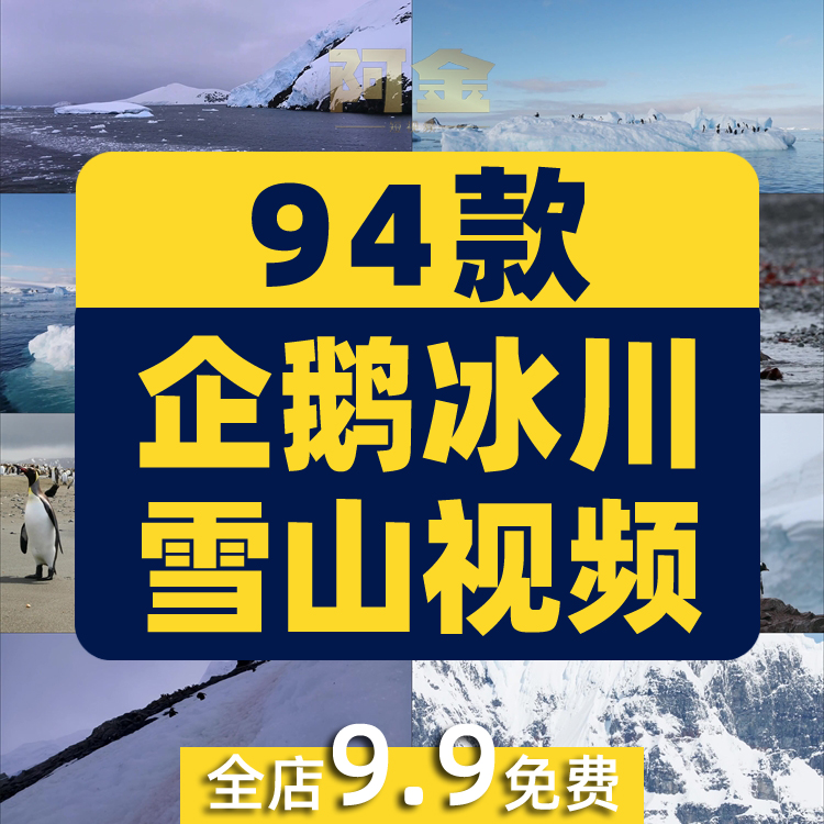 南极企鹅冰山冰川雪山动物风景素材高清旅游自然治愈系短视频背景插图