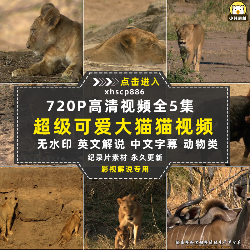 国家地理野生动物纪录片超级大猫全5集中视频自媒体解说视频素材插图