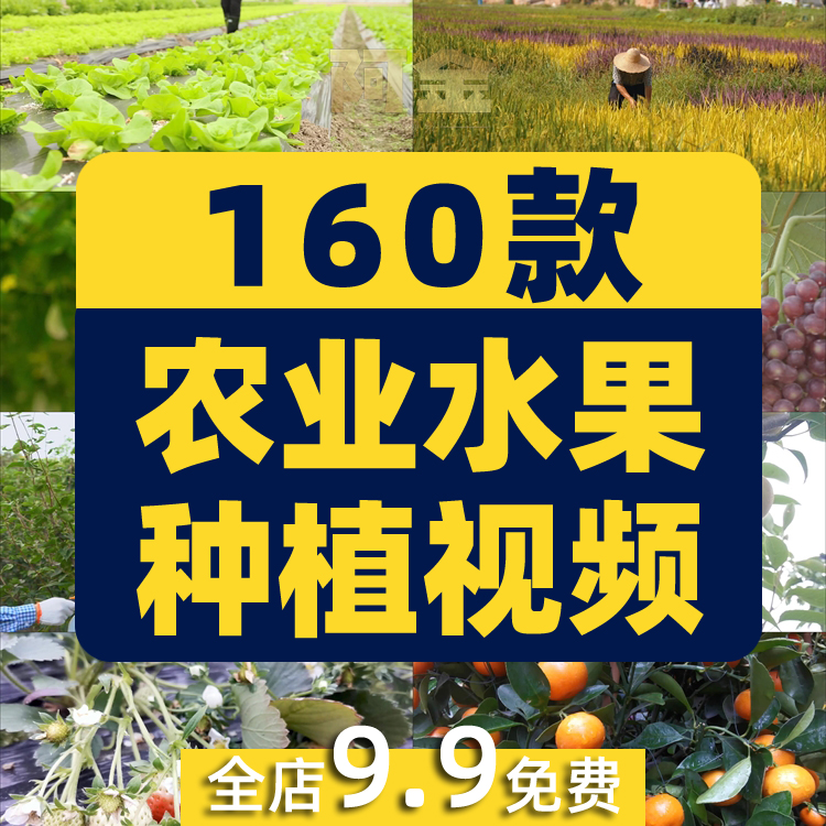 农业发展水稻水果种植大棚有机素材小麦玉米视频高清实拍素材剪辑插图