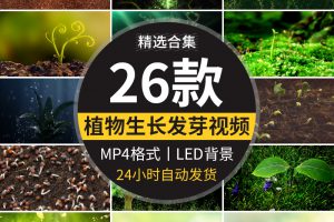 绿色植物自然生长成发芽小树水滴种子舞台LED大屏幕背景视频素材