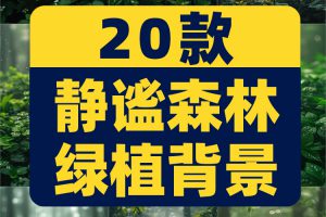 森林绿植治愈系树木草木绿幕直播间背景图素材虚拟动态场景视频