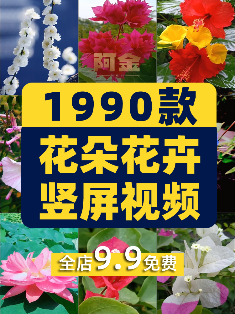 竖屏花朵花卉花开风景素材高清旅游自然唯美治愈系短视频背景剪辑插图