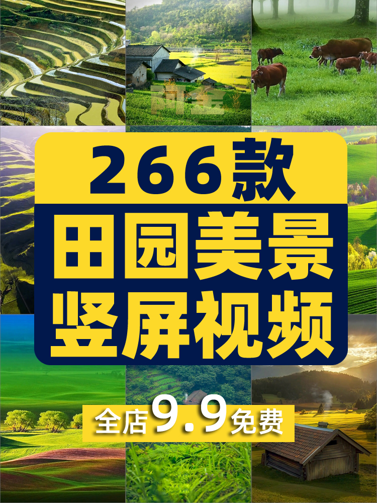 竖屏农村田园梯田风光风景唯美景清新直播背景抖音短视频素材剪辑插图