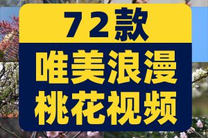 唯美浪漫桃花春暖花开乡村风景素材高清旅游自然治愈系短视频背景