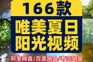 夏日透光阳光大自然空境头实拍唯美树叶背景森林绿叶剪辑视频素材