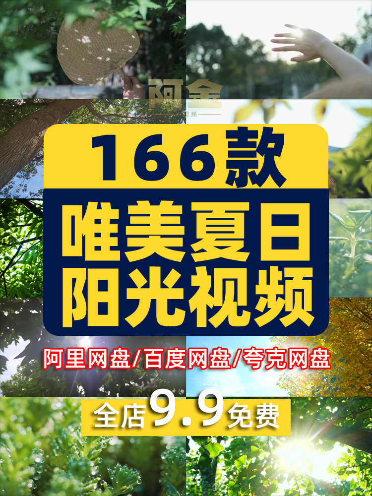 夏日透光阳光大自然空境头实拍唯美树叶背景森林绿叶剪辑视频素材插图