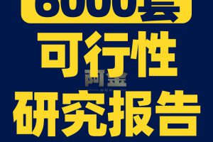 项目可行性研究报告行业分析投资商业计划方案模板案例资料建议书