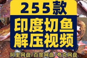 印度街头杀鱼切鱼横屏国外高清直播解压中长视频小说推文素材引流