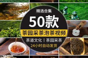 茶园采茶嫩绿色茶树特写茶艺文化茶道泡茶山红茶喝茶采摘视频素材