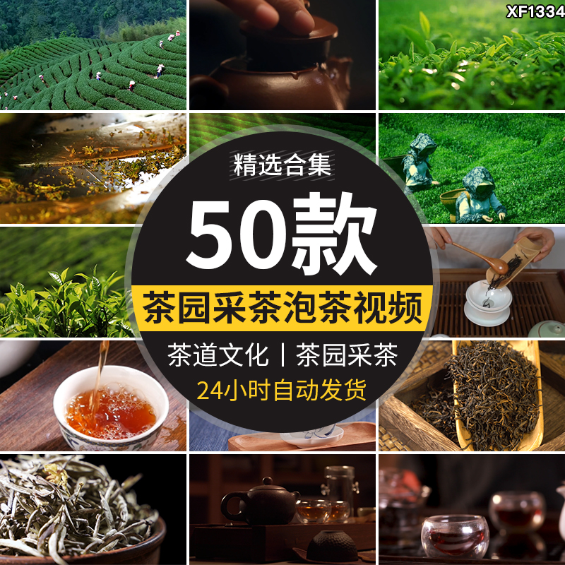 茶园采茶嫩绿色茶树特写茶艺文化茶道泡茶山红茶喝茶采摘视频素材插图