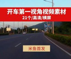 开车第一视角抖音热门高清视频素材
