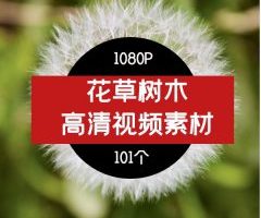 花草树木高清视频素材01