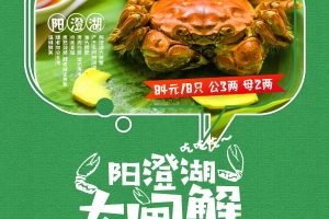 阳澄湖大闸蟹广告海报设计