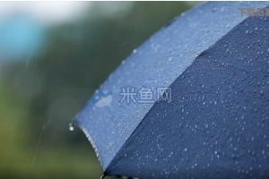 雨滴低落雨伞视频素材