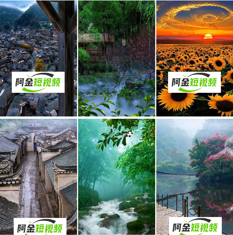 治愈系唯美解压风景竖屏视频小桥流水绿水青山高清自然短视频素材插图9