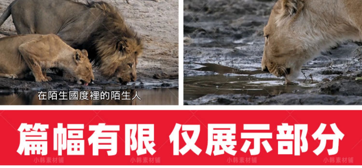 野生动物版权利的游戏野蛮王国1-3季自媒体快手抖音视频剪辑素材插图11