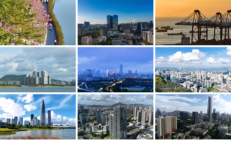广东深圳南山城市风光地标夜景航拍视频素材人才公园风景视频素材插图11