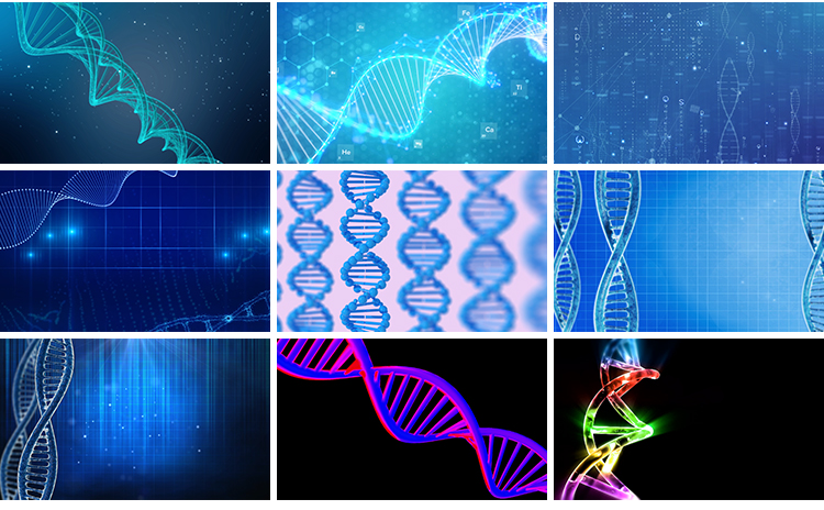 DNA双螺旋基因分子结构生物科学研究实验化学3D动画背景视频素材插图12