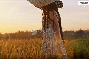 阳光中女孩在麦田中漫步视频素材