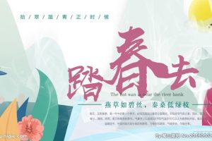 踏春去banner图片