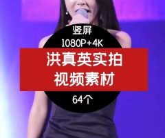 韩国女星洪真英高清视频素材下载