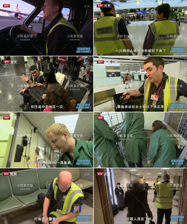 动物托运纪录片机场动物秀全12集中视频自媒体解说高清视频素材插图8