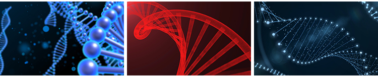 DNA双螺旋基因分子结构生物科学研究实验化学3D动画背景视频素材插图9