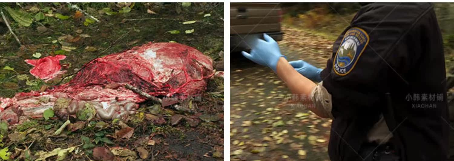打击盗猎纪录片西北狩猎巡山队1-3季自媒体快手抖音视频剪辑素材插图9