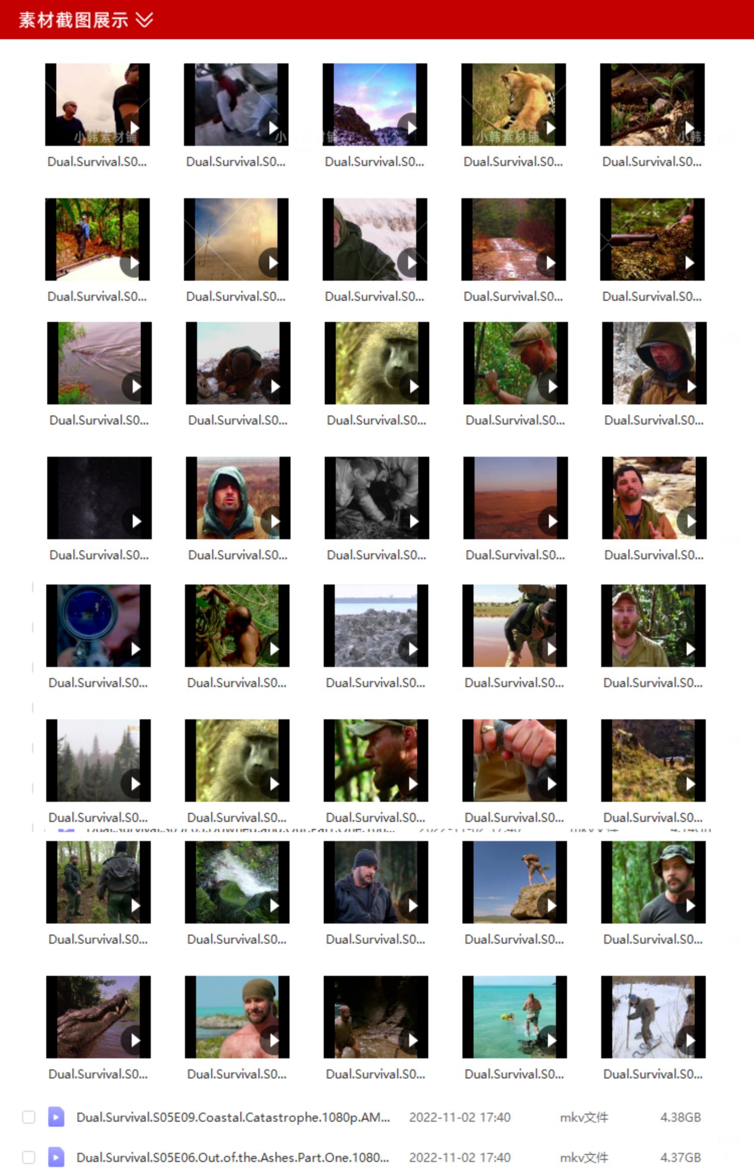 荒野求生纪录片求生一加一1080P自媒体电影解说抖音短视频素材插图10