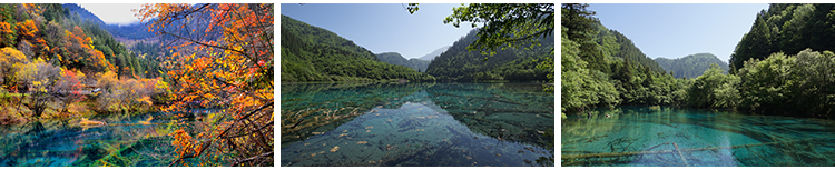 四川九寨沟旅游风景风光七彩池瀑布照片摄影抖音JPG图片设计素材插图9