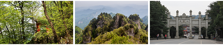湖北十堰武当山风光旅游风景区景点紫霄宫建筑摄影JPG图片照素材插图9