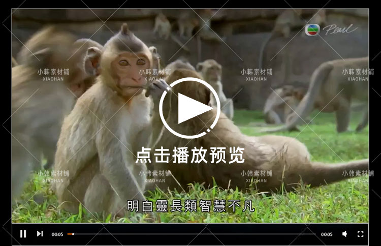 BBC动物探索纪录片猴子大观全3集中视频自媒体解说高清视频素材插图5
