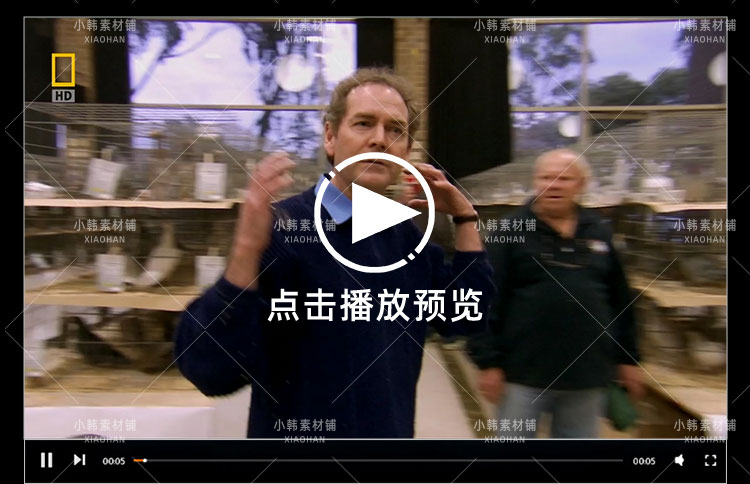 国家地理动物研究纪录片动物天才全4集中视频自媒体解说视频素材插图5