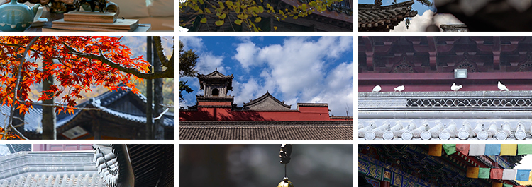 寺庙古风禅意佛系意境古风铃铛香炉古寺院风景抖音高清短视频素材插图8