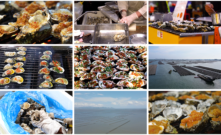 炭烧烤生蚝蒜蓉新鲜海鲜美食生蚝养殖基地海蛎子牡蛎剪辑视频素材插图6