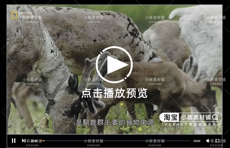 求生纪录片原始求生记中字自媒体电影解说抖音短视频素材全17集插图4