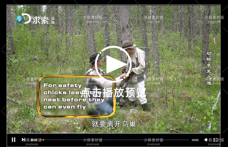 探索频道生命探索纪录片动物求生之道中视频自媒体解说视频素材插图5