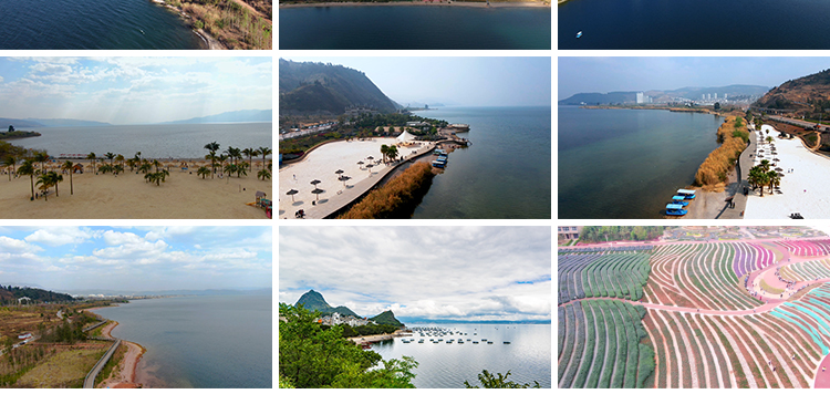 云南澄江抚仙湖环海玉溪江川区旅游景点湖泊自然风景实拍视频素材插图6