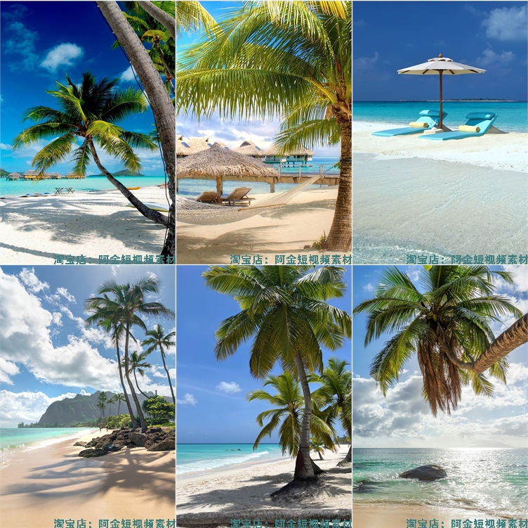海边沙滩椰树夏天夏日海滩风景海水抖音绿幕直播led背景图片素材插图6