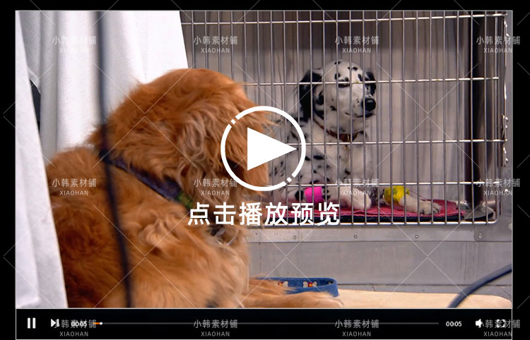 动物救治纪录片热血兽医师中视频自媒体解说高清剪辑视频素材插图5