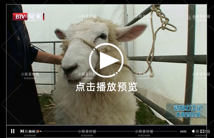 动物趣闻纪录片动物打工记全2季中视频自媒体解说高清视频素材插图5