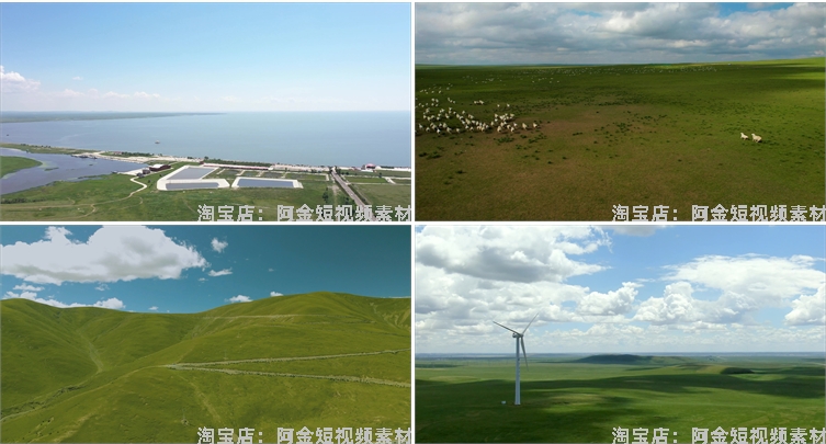 内蒙古呼伦贝尔蓝天白云风光大草原羊群风景素材航拍旅游短视频插图6