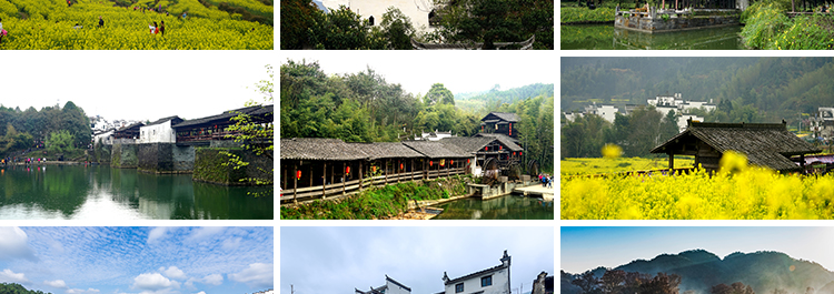 古镇婺源旅游风景点照片摄影油菜花乡村田园风光高清抖音图片素材插图6