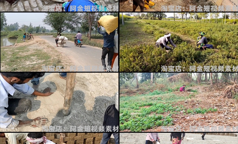 印度农村生活记录中长视频抖音快手无人直播伴侣高清视频场景素材插图6